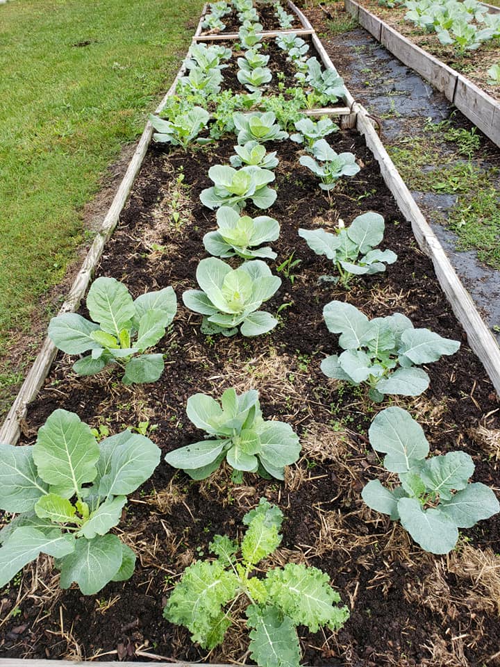 Community Garden | Valdosta | Living Bridges Ministry