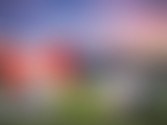 Aficionados internacionales viajando a Canadá para la Copa Mundial FIFA 2026 con pasaportes y documentos de viaje en el aeropuerto