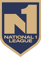 N1 Logo.png