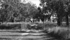 Some Major Players of the Woolly Past