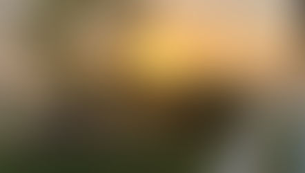 We all Hold the Power to be Kind: