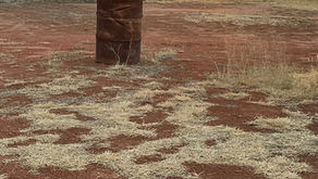 Acting & difference between Alone & Lonely: