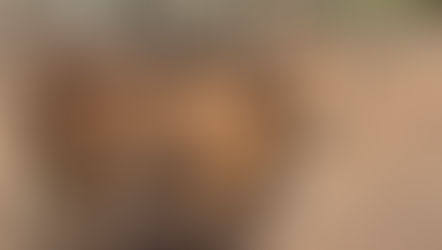 We are Australia, Mate