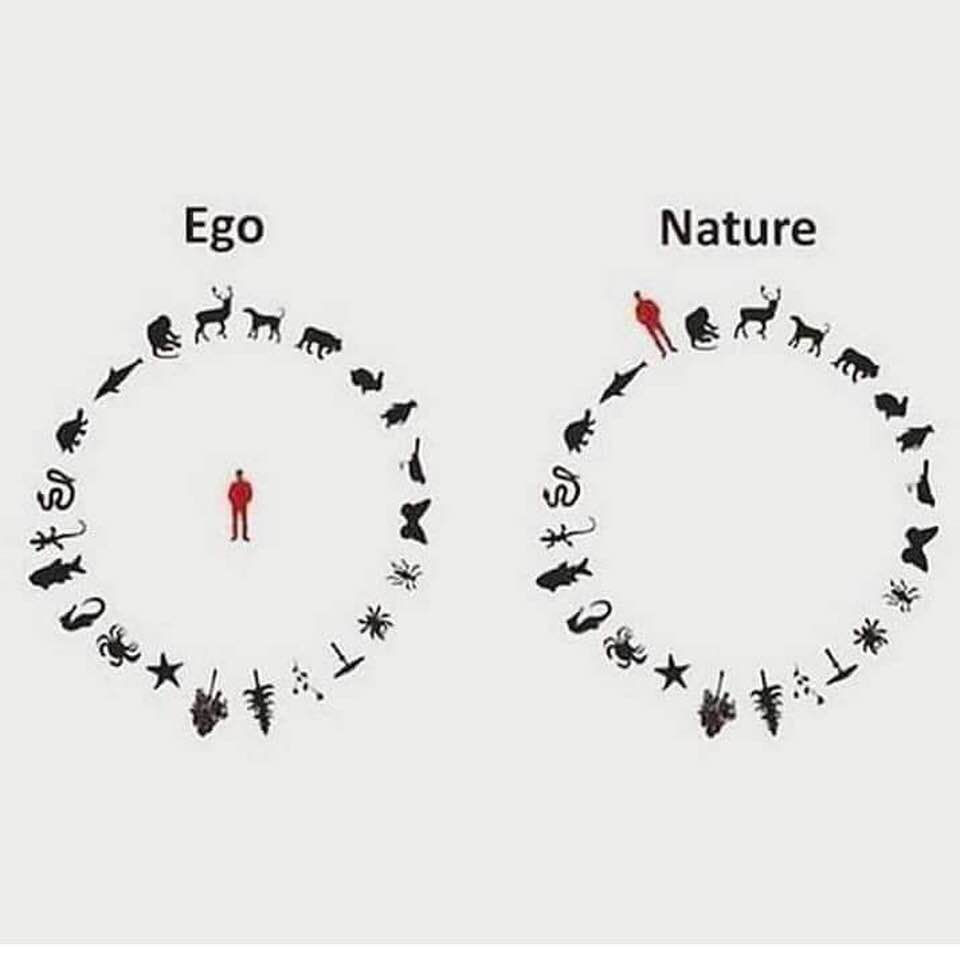 TOO BLIND TO SEE BEYOND OUR OWN EGO AS NATURE REEKS REVENGE