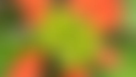 The Eyes of a Kid in Kath: