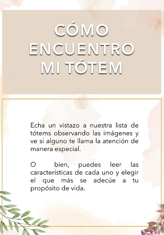 cómo encuentro mi tótem.png