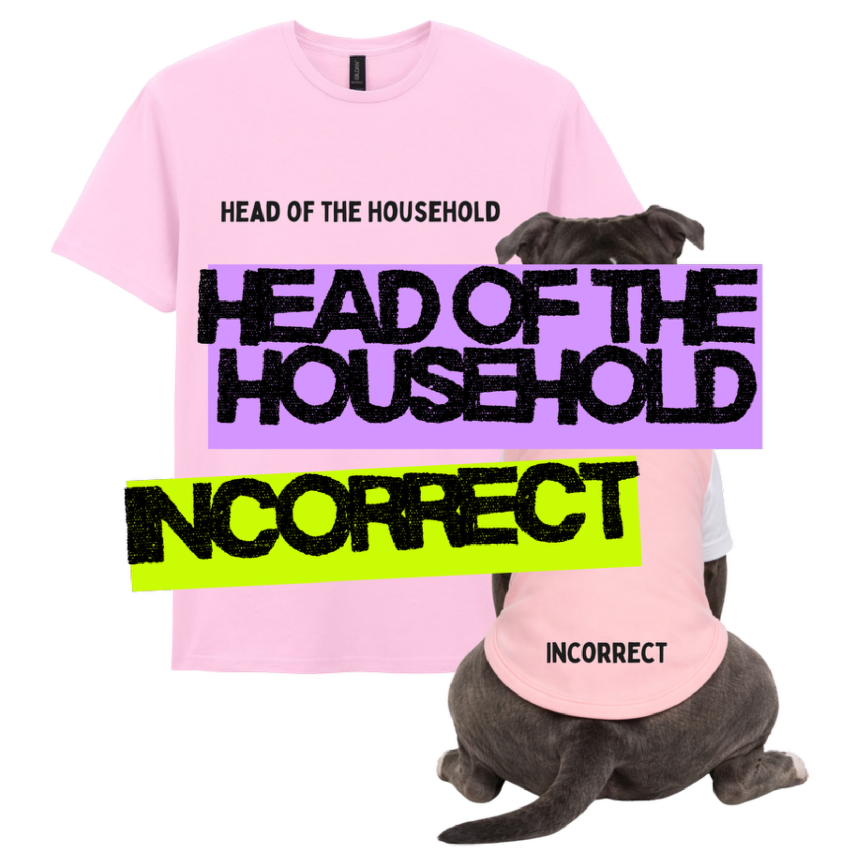 TWIN TAILS - HEAD OF THE HOUSEHOLD ....... INCORRECT ......
