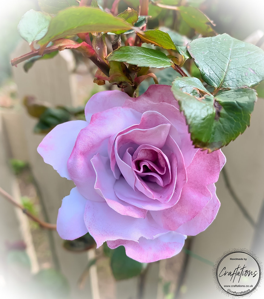 Rose Forming A Rose by any other name… Making a beautiful rose using flower forming foam