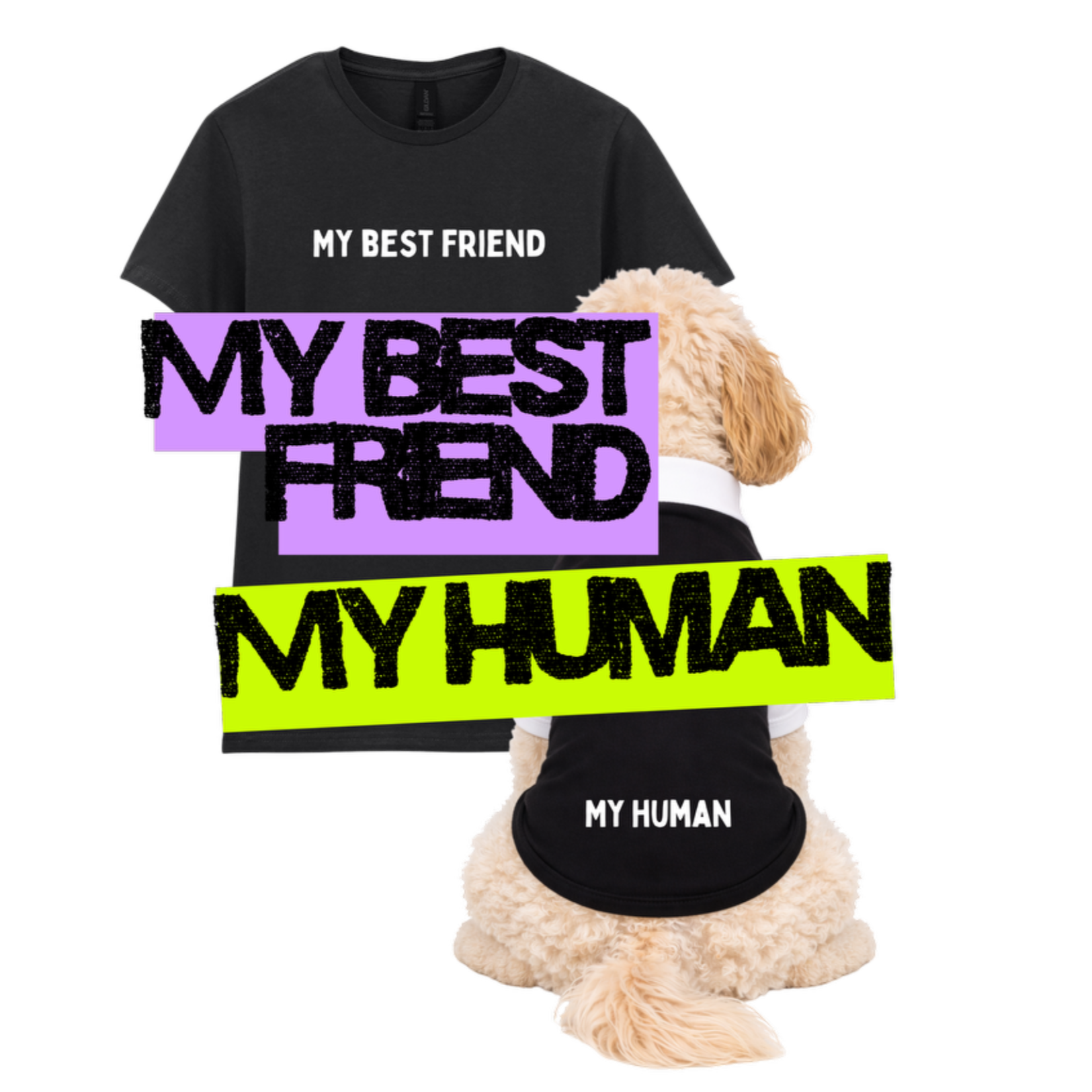 TWIN TAILS - MY BEST FRIEND....... MY HUMAN ........