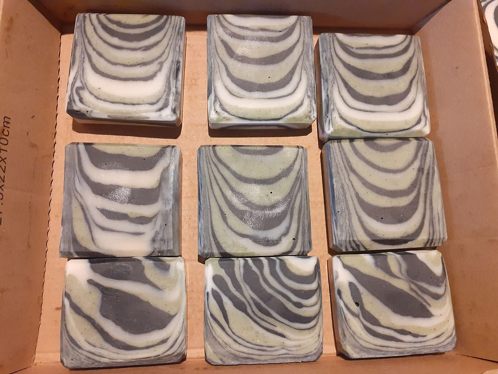 Miniature : GREEN ZEBRA SWIRL