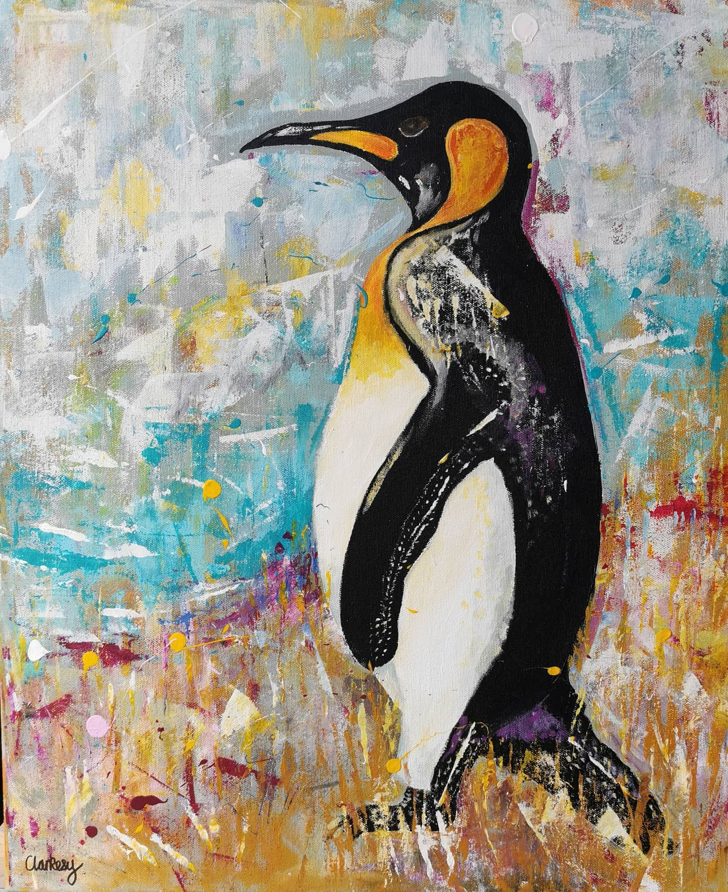 Falklands King Penguin