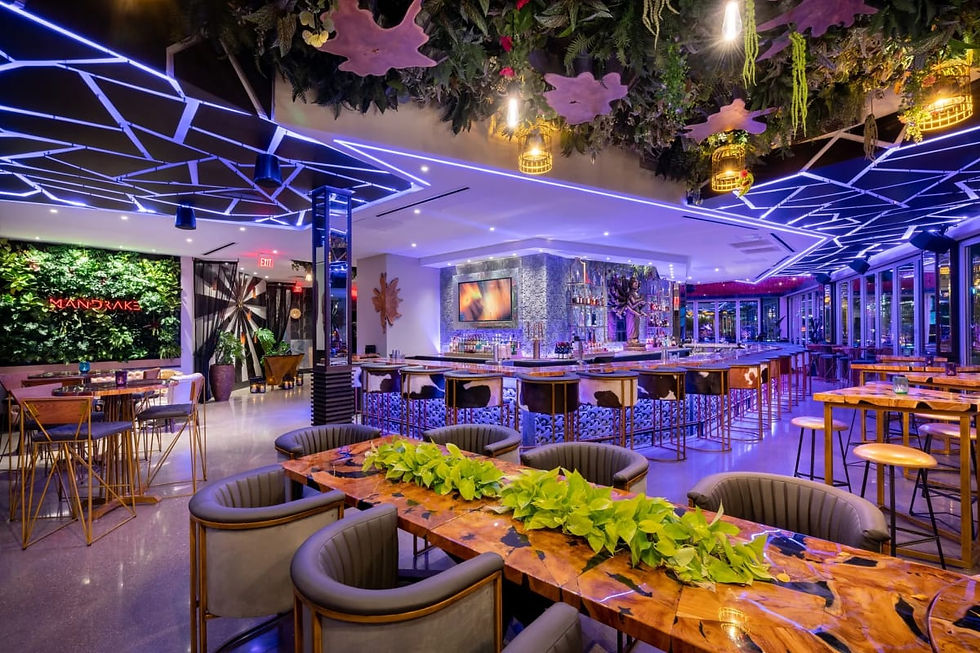 Neon-lit ceiling over the bar and dining room at Mandrake Rooftop in Columbus