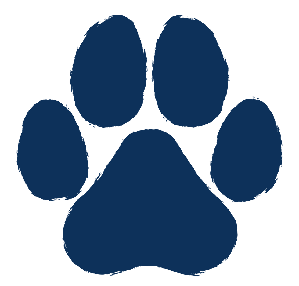 Series of paw prints representing a dog’s journey and training path