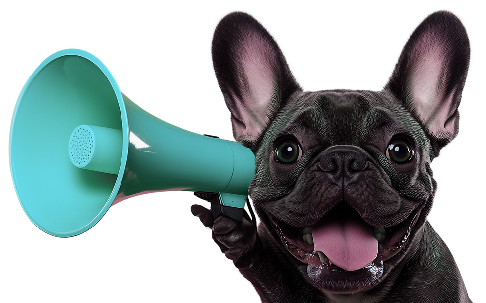 Pug with a megaphone to its ear, inviting visitors to listen to real client stories
