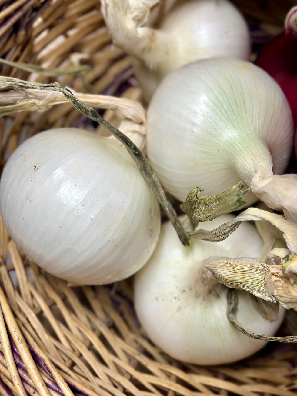 Thumbnail: Cetrioli 🥒 all'aneto in agrodolce regio.garantie - salsa