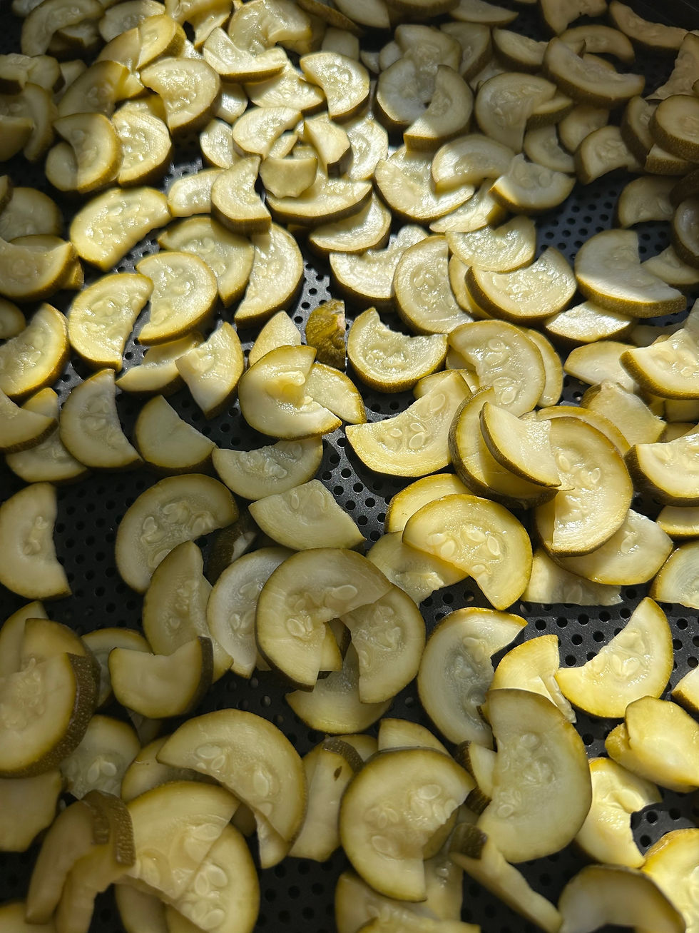 Miniature : Zucchine ticinesi sott'olio con erbe aromatiche del mio orto