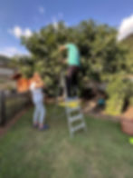 Thumbnail: Genestrerio figs and lime