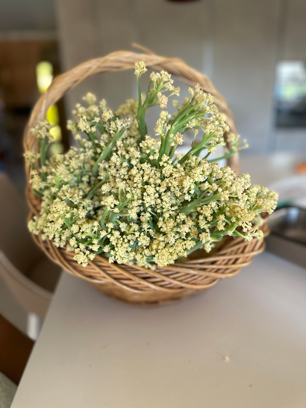 Miniaturbild: Cavolfiori del nostro orto in agrodolce - contorno