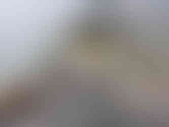 Our apothecary: bundles of dried herbs tucked into paper bags