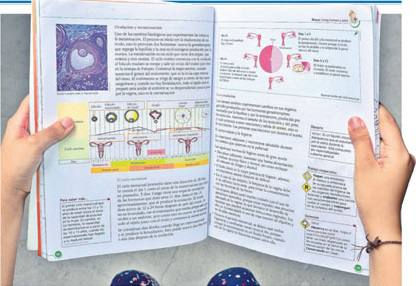 En Ecuador la educación sexual tiene debilidades.