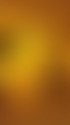 Rouwenhorst Fotografie is verhuist!