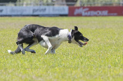 28870424_10213616747246159_2158977470110367744_n