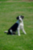 IMG-20231014-WA0038.jpg