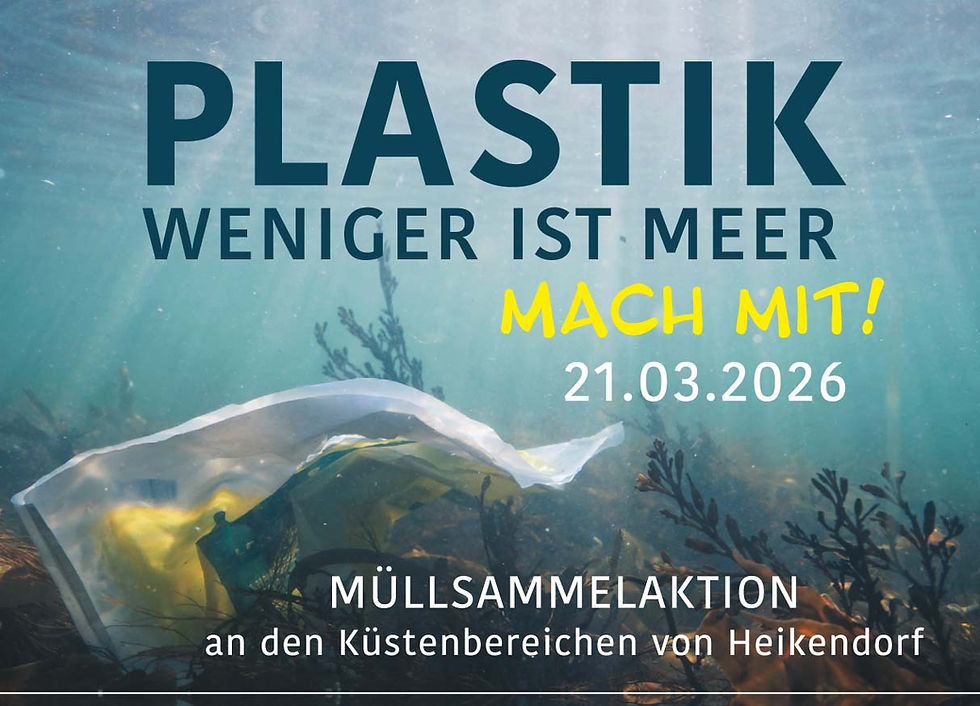 Müllsammelaktion am 21. März
