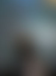 Belém reúne especialistas para discutir clima e energia antes da COP30