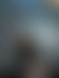 Belém reúne especialistas para discutir clima e energia antes da COP30