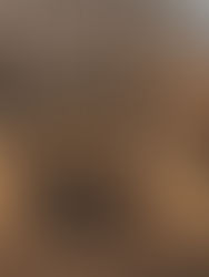 The Biomass Market in the United States