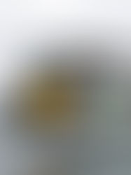 O lançamento do BOTOH2 durante a COP30 marca um avanço histórico na transição energética e na gestão de resíduos na Amazônia.