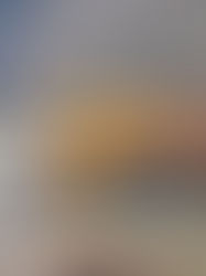 Loram South America entrega novas máquinas à MRS em contrato bilionário de operação e manutenção ferroviária