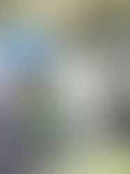 Oeste Solar é referência em operação e manutenção de projetos de usinas solares