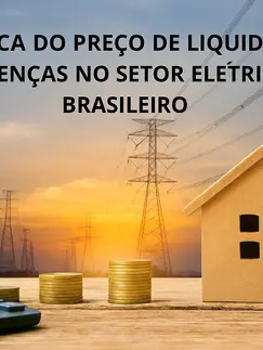DINÂMICA DO PREÇO DE LIQUIDAÇÃO DAS DIFERENÇAS NO SETOR ELÉTRICO BRASILEIRO