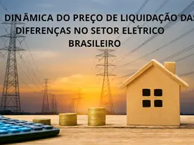 DINÂMICA DO PREÇO DE LIQUIDAÇÃO DAS DIFERENÇAS NO SETOR ELÉTRICO BRASILEIRO