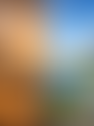 O desafio ambiental e a transição energética