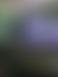 Encontro Nacional de Mudanças Climáticas para o Setor de Energia e Agronegócio