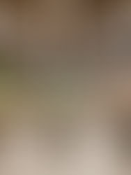 Supermercados Sustentáveis: O Caminho para uma Gestão Energética Eficiente