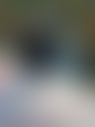 Pontal Energy anuncia investimentos e criação de nova plataforma de energia