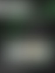 🚨 Hoje é o grande dia: o 8º Energy Advisor Day! 🚨