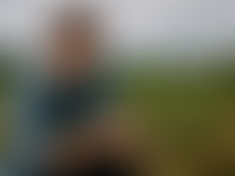 Créditos de carbono: Cómo el nuevo ciclo regulatorio abre oportunidades estratégicas para las empresas en Brasil