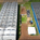 Solar Farm: Benefits for Nature Beyond What You Imagine.