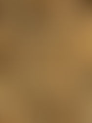 MT sai na frente e regulamenta uso de biomassa de madeira nativa