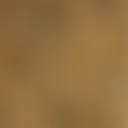 MT sai na frente e regulamenta uso de biomassa de madeira nativa