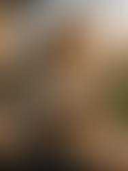 Mulheres que Sustentam a Sustentabilidade: Muito Além dos Painéis Solares