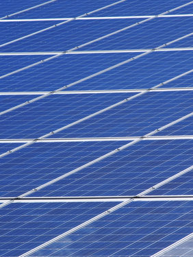 Granjas adotam soluções inovadoras para vencer desafios energéticos