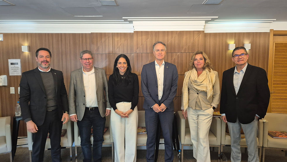 Sindienergia-RS e Países Baixos fortalecem conexões para o futuro das energias renováveis no Sul do Brasil