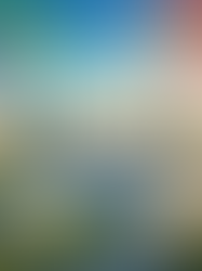 Artigo 8/12: O Futuro é Agora: China, Energia Limpa e a Nova Geopolítica Global