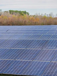 O que a transição verde significa para os empregos no setor energético?